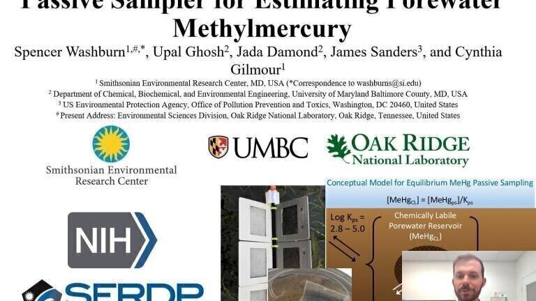 Evaluating the Uptake Mechanisms of a Novel, Activated Carbon-Based Equilibrium Passive Sampler for Estimating